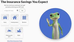 geico insurance

